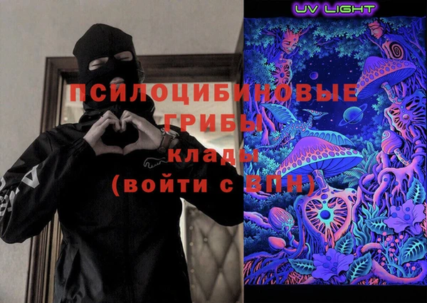 ГАЛЛЮЦИНОГЕННЫЕ ГРИБЫ Верея